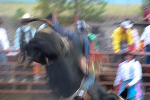 Bull-Ride-Blur-small