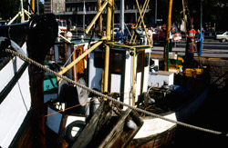 Harbour-Oslo-1985